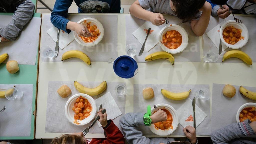 Immagine: PROCEDURA APERTA RISTORAZIONE SCOLASTICA